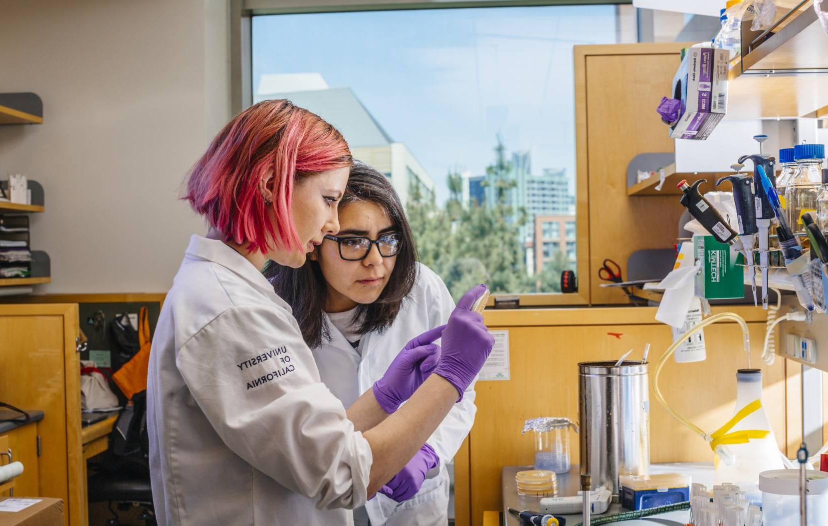 Students in a lab at 正规欧洲杯买球网站旧金山分校